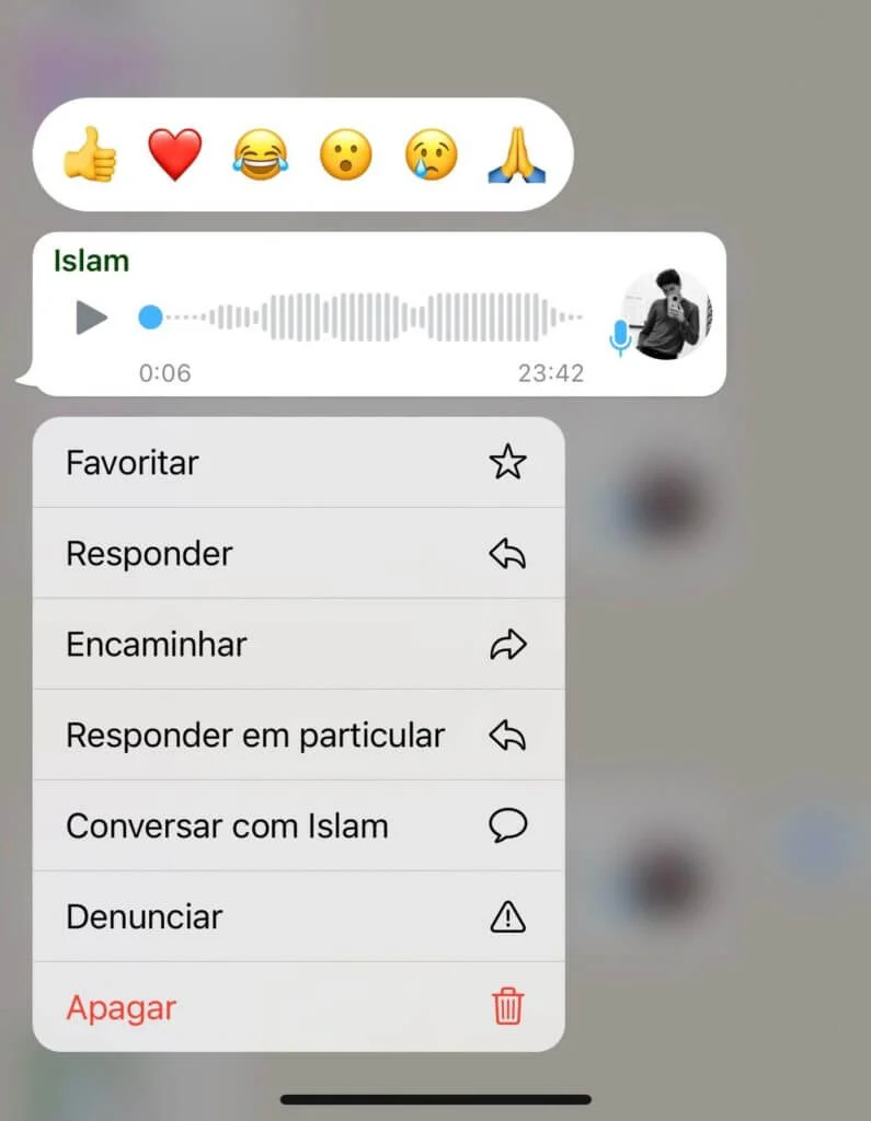 Print mostrando como reagir no WhatsApp