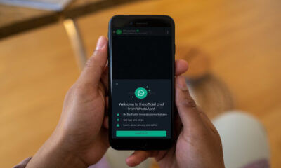 Novo Chatbot do WhatsApp manterá usuários atualizados
